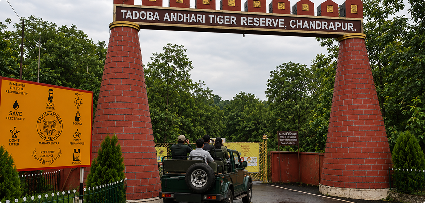 2 Nights / 3 Days Tadoba Tour Package
